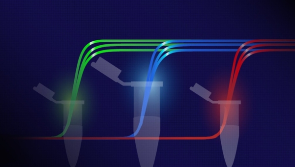 Image_20260202-realtimePCR